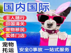 包头东河空运公司国际宠物托运 【国